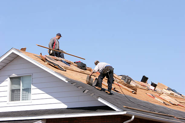 Best Roofing for New Construction  in Dewitt, AR